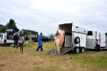 Paardenrally 10