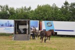 Paardenrally 1