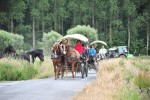 Paardenrally 130