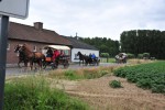 Paardenrally 131