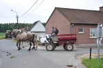 Paardenrally 133