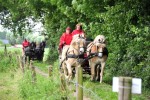 Paardenrally 139