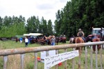 Paardenrally 176