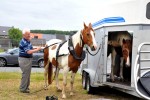 Paardenrally 20
