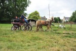 Paardenrally 223