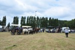 Paardenrally 238