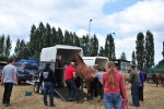 Paardenrally 247