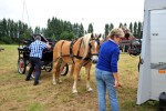 Paardenrally 29