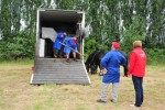 Paardenrally 46
