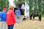 Paardenrally 48