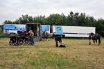 Paardenrally 7