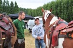 Paardenrally 96